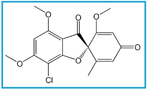 Griseofulvin EP Impurity C